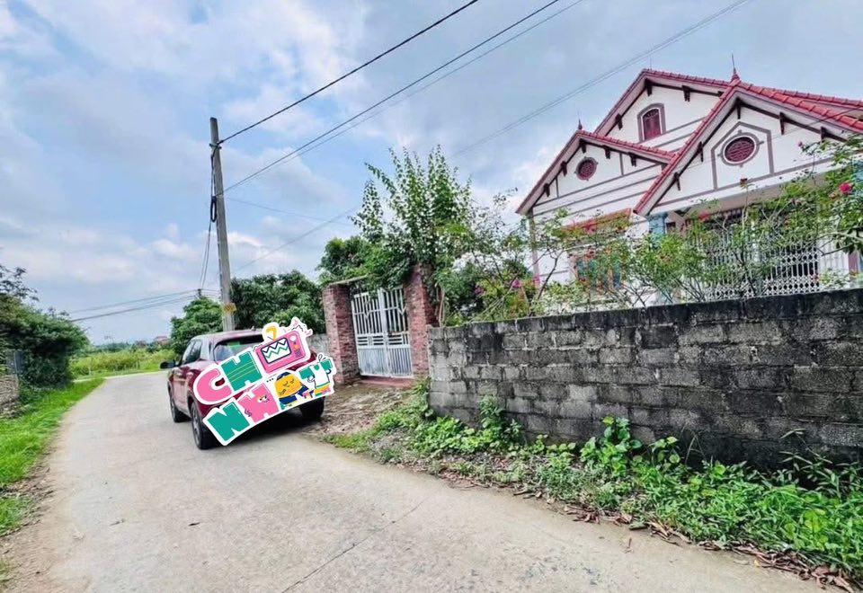 Đất nền Lục Nam 186m² giá 700 triệu - Sổ đỏ chính chủ, phong thủy tốt!