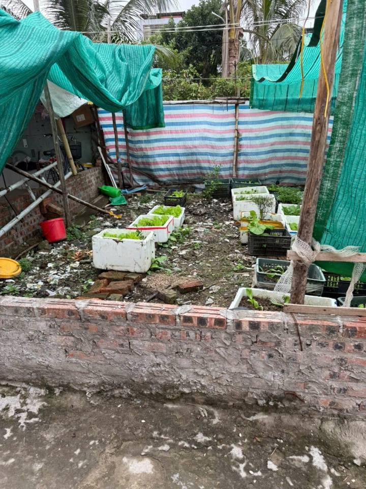 Lô đất trung tâm thị trấn Thanh Sơn, Kiến Thụy, Hải Phòng 68m² giá 900 triệu - Cơ hội hiếm có!