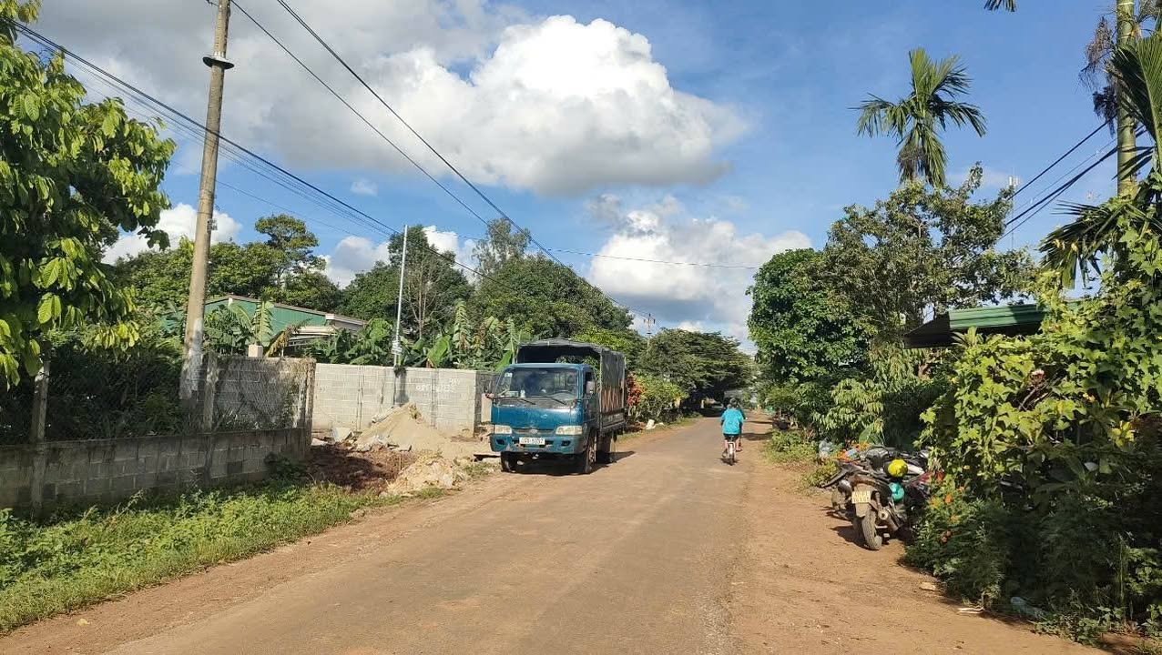 Đất Mặt Tiền Kinh Doanh Nguyễn Xuân Nguyên, Tân An 250m² - Cơ hội đầu tư lý tưởng!