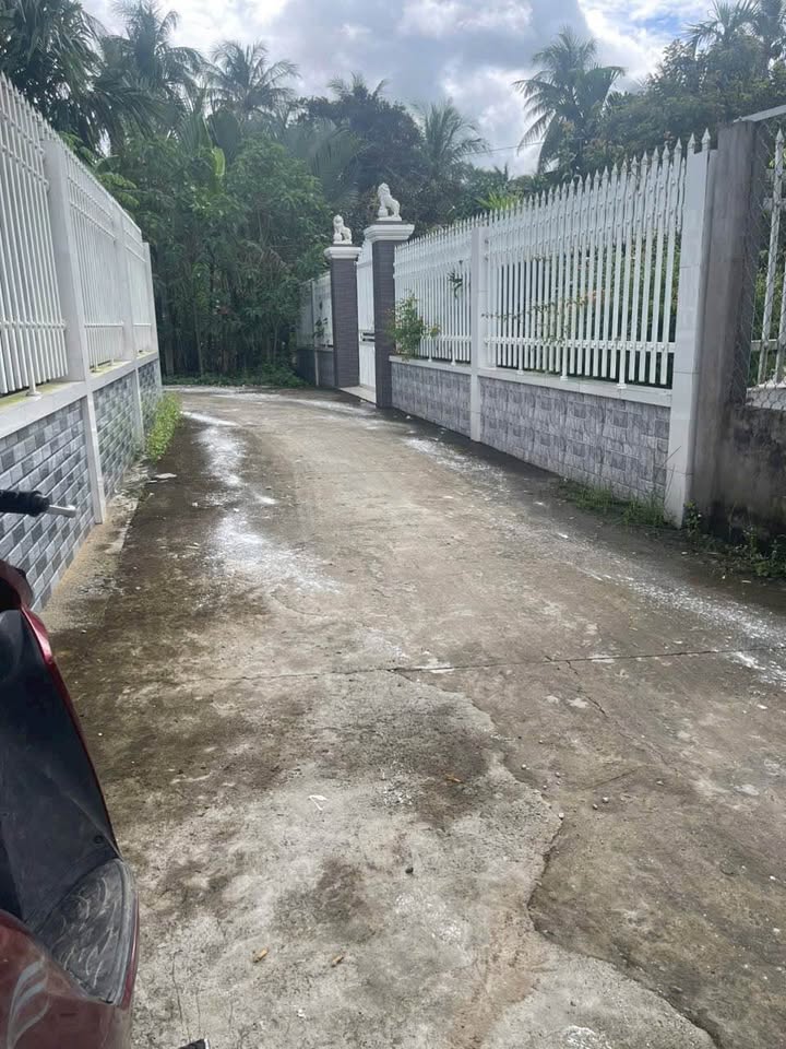 Đất thổ cư Tân Thành Bình, Mỏ Cày Bắc 1300m² - Gần QL60, giá chỉ 3 tỷ!