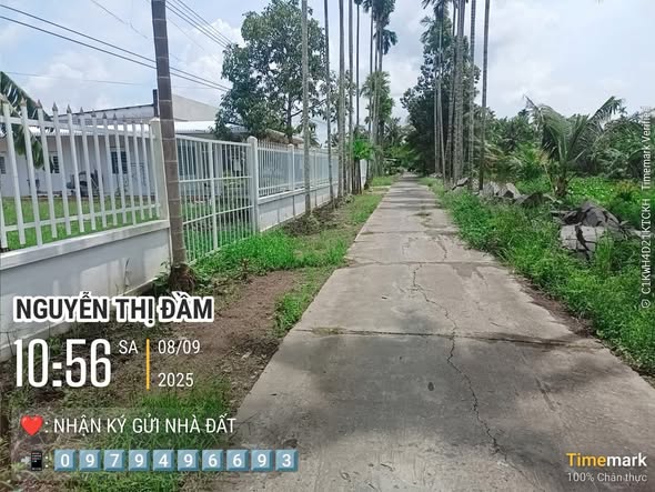 Đất vườn nghỉ dưỡng Phương Bình 19.586m² giá 4 tỷ - Nhà đẹp, sẵn sầu riêng!