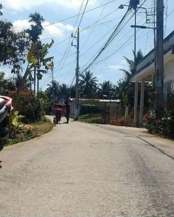 Đất nền Tam Phước, Châu Thành, Bến Tre 100m² - Đầu tư sinh lời ngay!