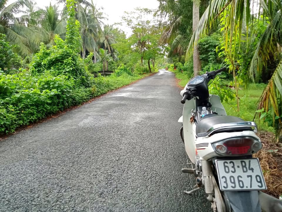 Đất vườn 865m² xã Bình Ninh giá 600 triệu - Đầu tư lý tưởng cho nghỉ dưỡng!