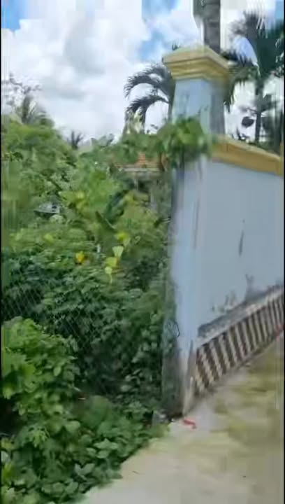 Đất nền thổ cư 150m² tại Tân Hội, Cai Lậy - Giá chỉ 680 triệu, cơ hội đầu tư sinh lời!