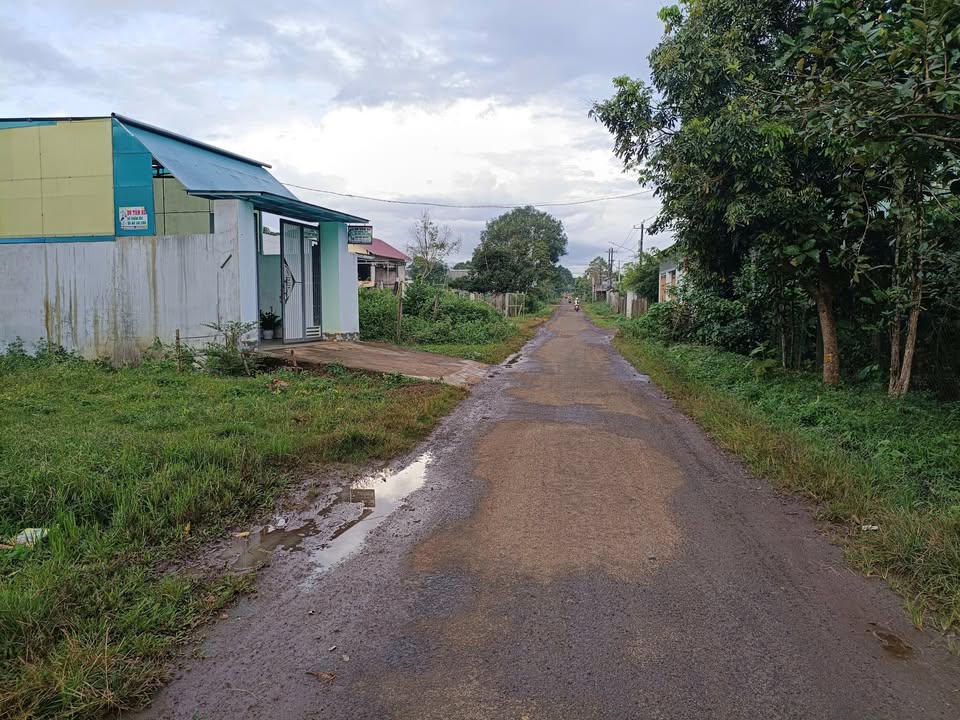 Đất thổ cư mặt tiền đường Ỷ Lan, Pleiku 312m² - Sổ hồng chính chủ, giá chỉ 1 tỷ!