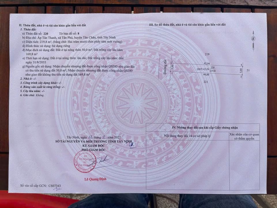 Đất thổ cư Tân Phú, Tân Châu 200m² giá 300 triệu - Cơ hội đầu tư tuyệt vời!