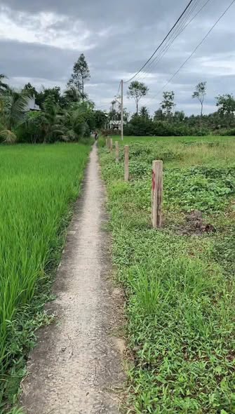 Đất nền Gò Công Tây 150m² giá chỉ 219 triệu - Sổ hồng chính chủ, cơ hội đầu tư hiếm có!