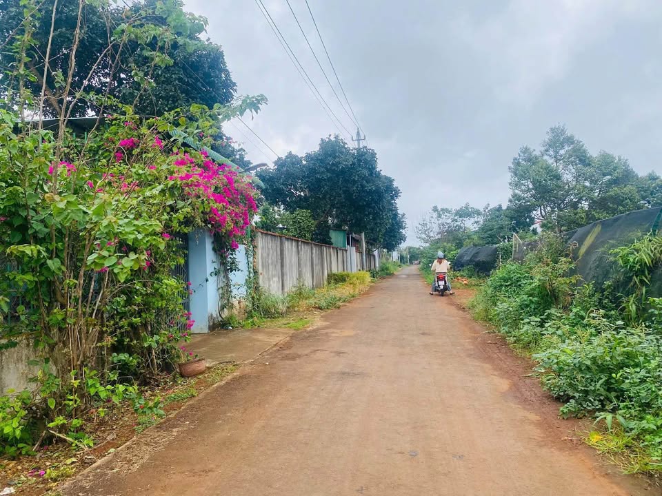 Đất thổ cư Hòa Thắng 195m² giá 1.55 tỷ - Vị trí kết nối hoàn hảo!