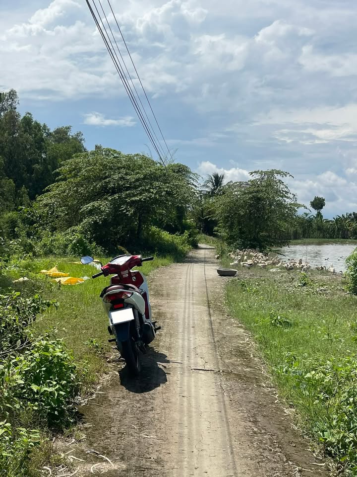 Đất nông nghiệp 5.108m² tại Thới Xuân, Cần Thơ - Giá chỉ 1.196 tỷ, pháp lý rõ ràng!