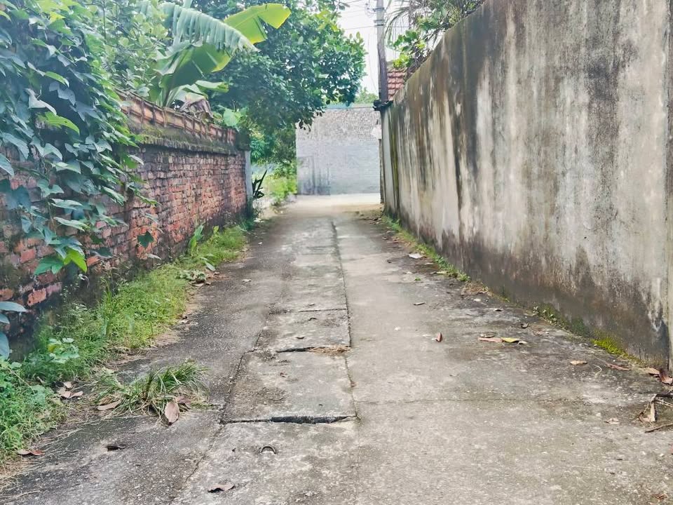 Đất thổ cư Uy Nỗ 73.3m² - Ô tô vào tận nơi, giá đầu tư hấp dẫn!