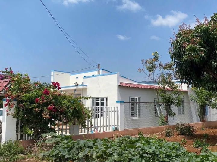 Nhà đất chính chủ tại Cư Xá, Liên Hiệp, Đức Trọng, Lâm Đồng 315m² - Không khí trong lành, giá tốt!