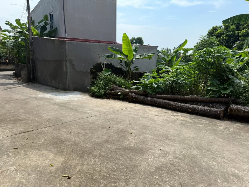 Đất thổ cư Lạng Giang 106m² giá thỏa thuận - Nở hậu tài lộc, đầu tư sinh lợi!