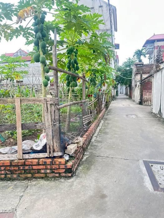 Đất nền Tam Giang 89m² giá thỏa thuận - Cơ hội đầu tư hiếm có!