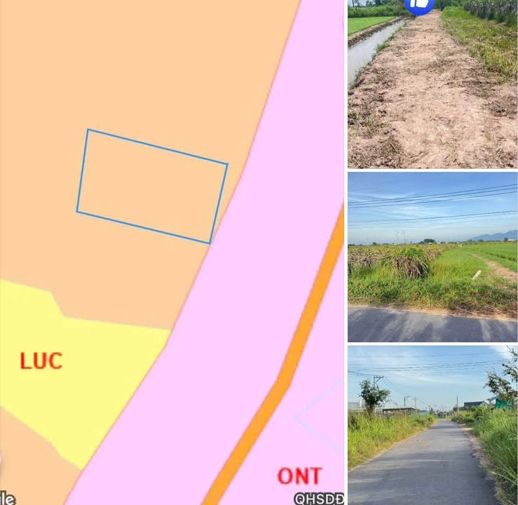 Đất nền 1600m² đường nhựa Liên Xã Hàm Liêm - Giá chỉ 550 triệu