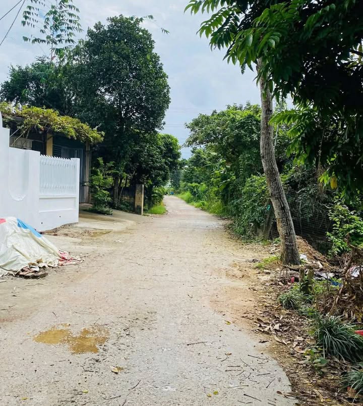 Đất phân lô An Tường Tuyên Quang 280m² giá thỏa thuận - Vị trí đắc địa, đầu tư sinh lời!