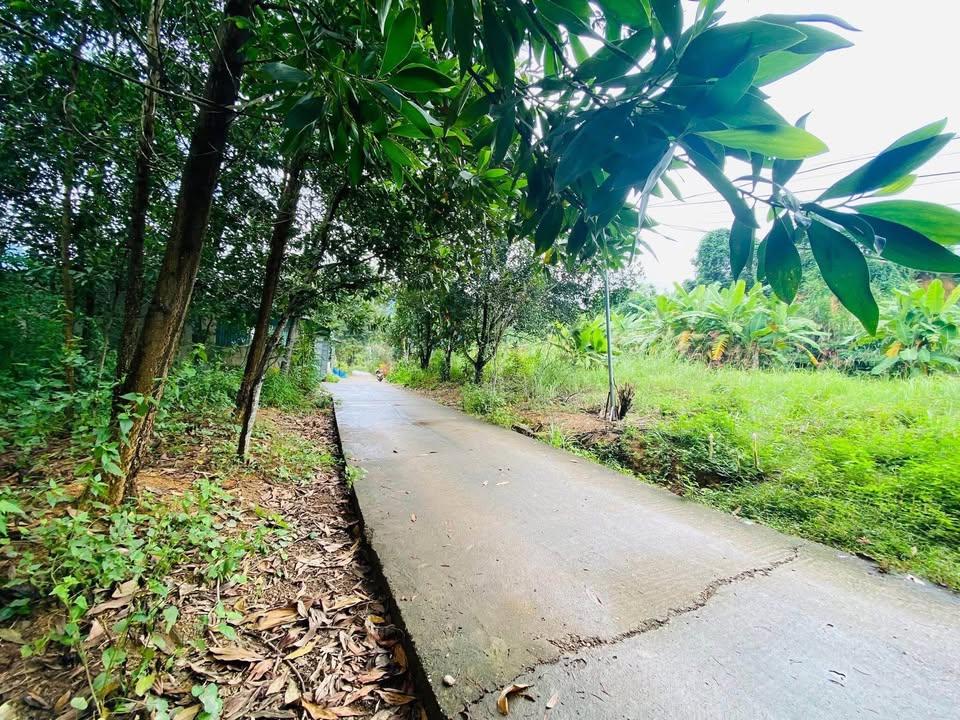 Đất thổ cư 105m² phường Nông Tiến giá 1 tỷ - Đầu tư sinh lời nhanh!