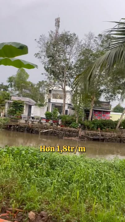 Đất nghỉ dưỡng An Bình, Phong Điền, Cần Thơ 1539m² - Giá chỉ 2.9 tỷ - Cơ hội đầu tư hấp dẫn!