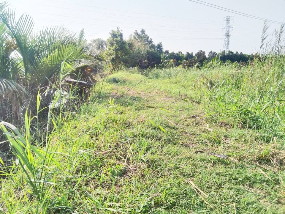 Đất nền 377m² hẻm Tỉnh Lộ 922 Mới Trường Lạc 299 triệu - Sổ hồng riêng, chính chủ!