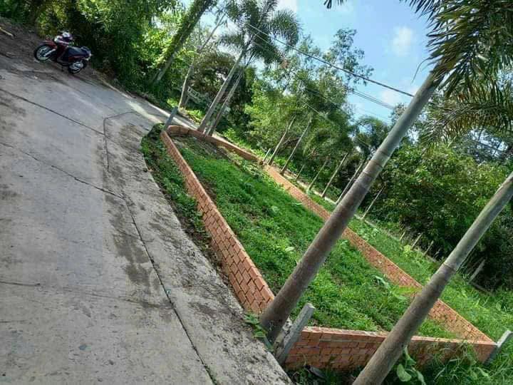 Đất nền thổ cư Giai Xuân, Phong Điền 60m² giá 499 triệu - Sẵn sàng xây dựng!