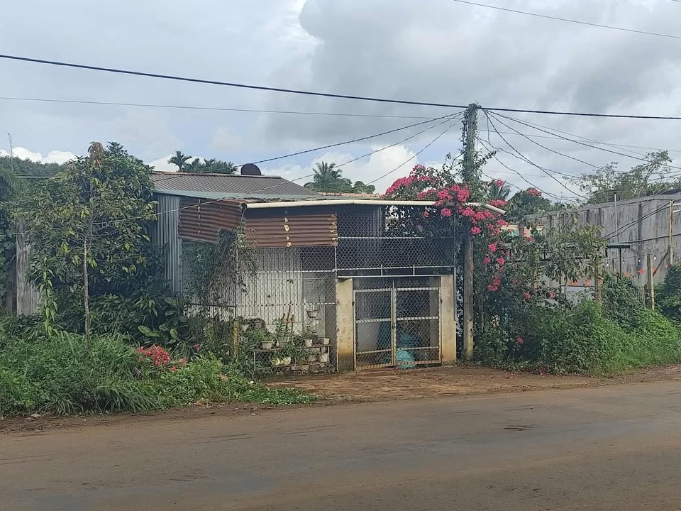 Nhà Phú Lộc Krông Năng 60m² giá 1.1 tỷ - Đường nhựa chính thuận tiện!