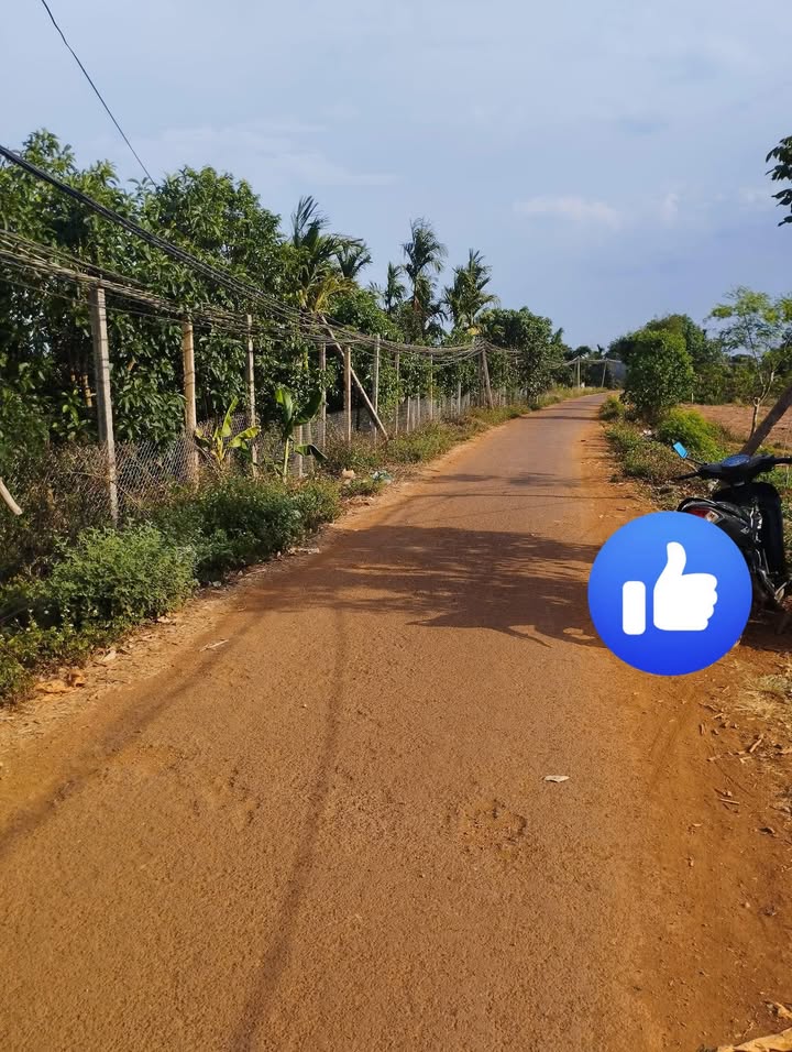 Lô đất đẹp tại xã Phú Xuân, Đắk Lắk 3200m² - Tiềm năng đầu tư lớn!