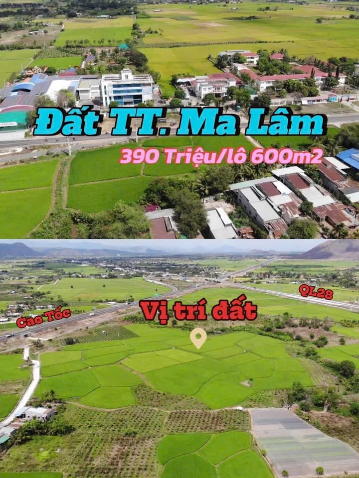 Đất cây lâu năm Ma Lâm 600m² giá 390 triệu - Cơ hội đầu tư hấp dẫn!