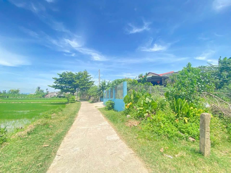 Đất nền Điện Hồng 370m² giá chỉ 500 triệu - Đầu tư hấp dẫn!