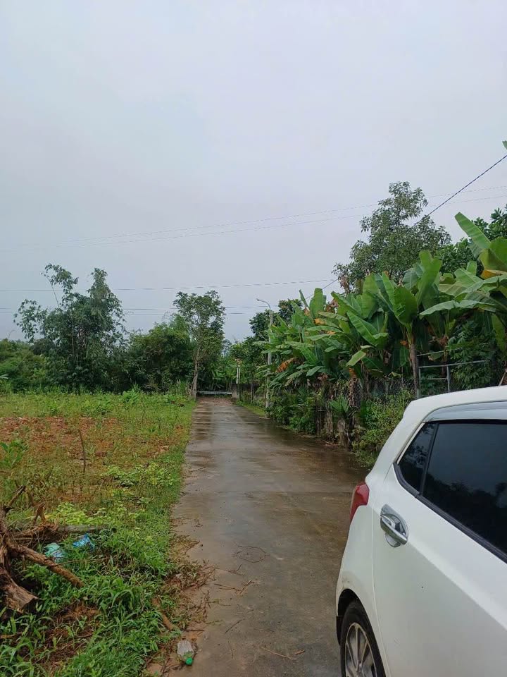 Đất thổ cư Thịnh Đán 141.7m² giá 2 tỷ - Vị trí giao thông thuận lợi!