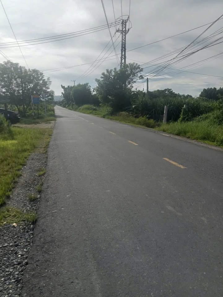 Nhà vườn mặt tiền TL8 Diên Xuân 1500m² giá 5.5 tỷ - Đầu tư lý tưởng!