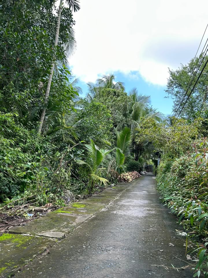 Đất nền Khu 3, Thị trấn Cái Bè 1043m² giá 125.16 tỷ - Sổ hồng chính chủ, thương lượng tốt!