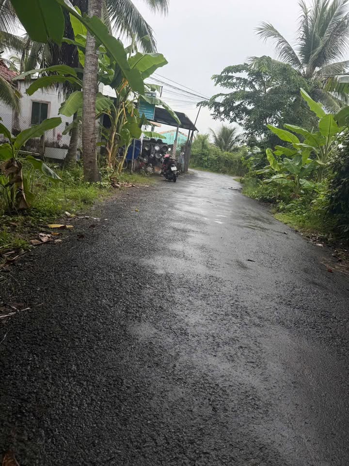 Đất vườn 570m² mặt tiền đường nhựa tại Chợ Gạo - Giá chỉ 900 triệu!