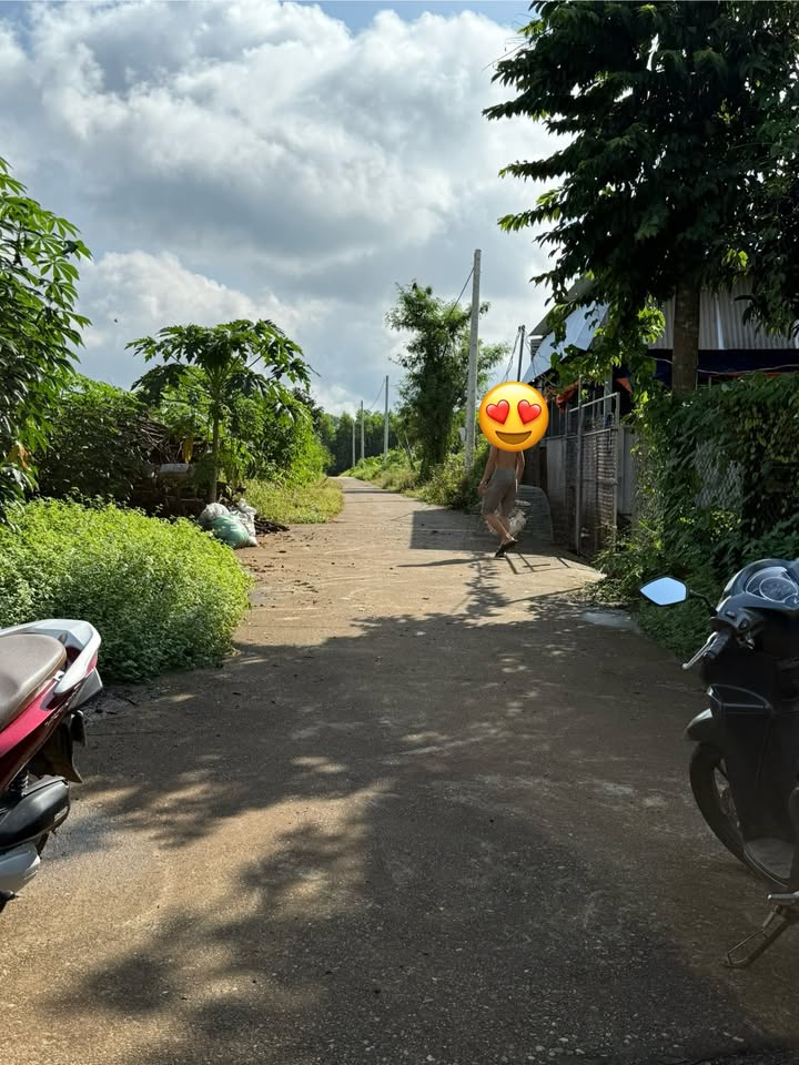 Đất nền 5 sào tại Bình Trung, Châu Đức - Giá 1.1 tỷ - Đầu tư sinh lời ngay!