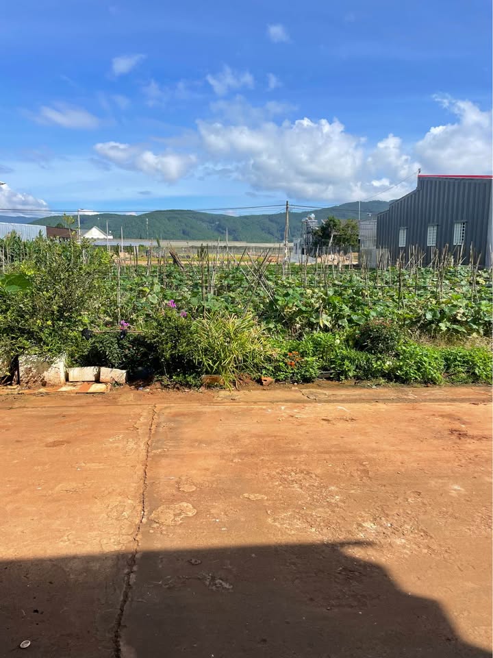 Đất nền Đạ Ròn Đơn Dương 1260m² giá 800 triệu - Cơ hội đầu tư sinh lời!