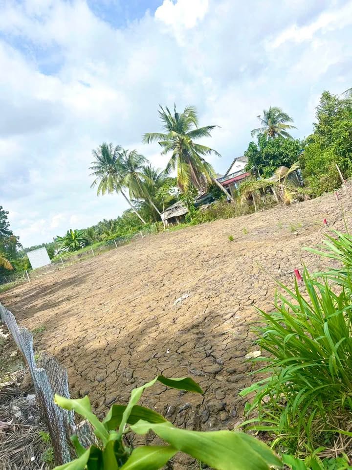 Lô đất thổ cư 219m² xã Hoà Hiệp, giá 165 triệu - Cơ hội đầu tư tuyệt vời!