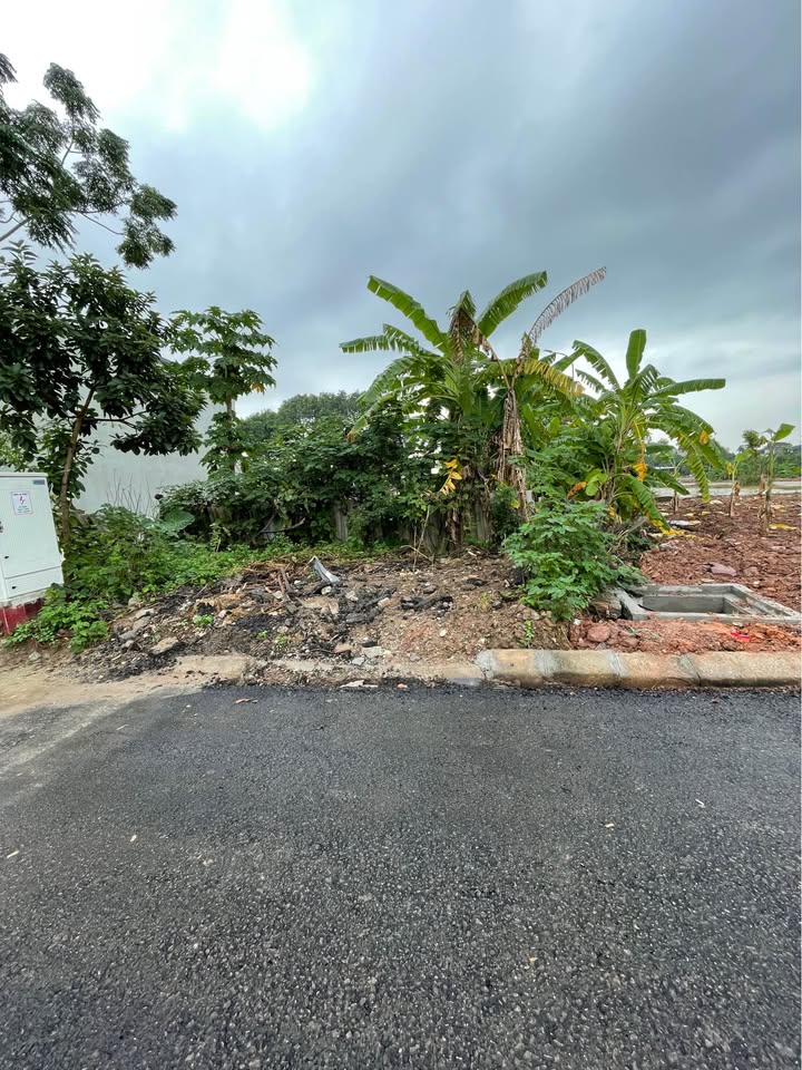 Đất nền Trần Quảng Khải, 72m² giá 3 tỷ - Vị trí đắc địa, tiện lợi giao thông!