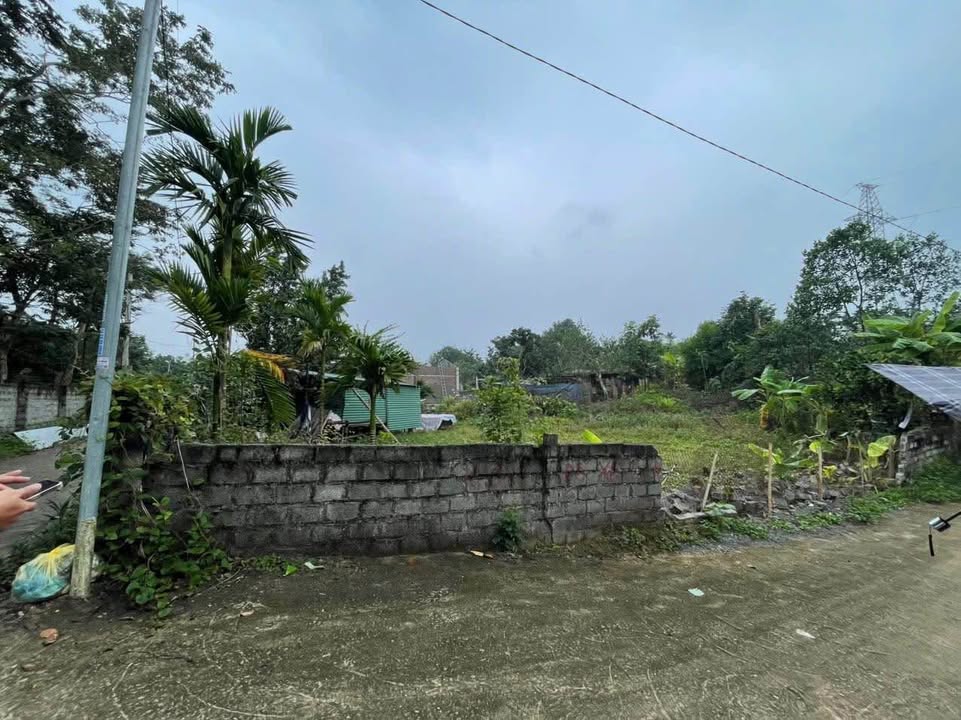 Đất nền Tân Hòa 1004m² giá 1 tỷ - Lô góc, vị trí đẹp!