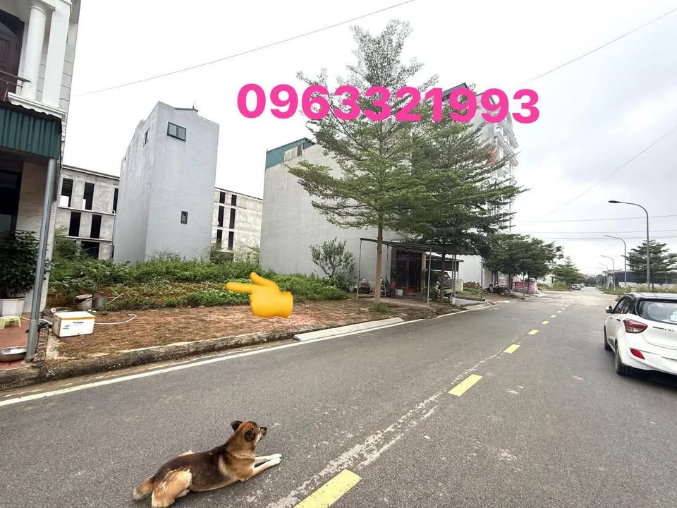 Đất nền Phú Lộc 2 - Đường Tô Hiệu, TP. Lạng Sơn 80m² giá 4.1 tỷ - Vị trí kinh doanh lý tưởng!