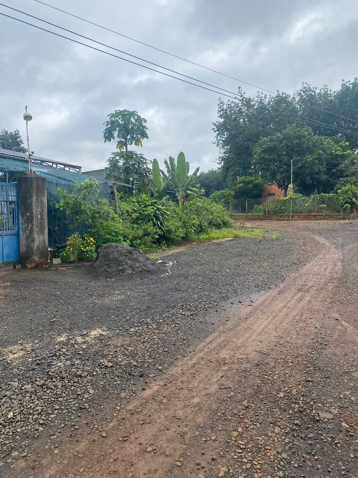 Đất nền 1,1ha tại Phú Trung, Phú Riềng - Giá chỉ 1 tỷ - Đầu tư sinh lời!