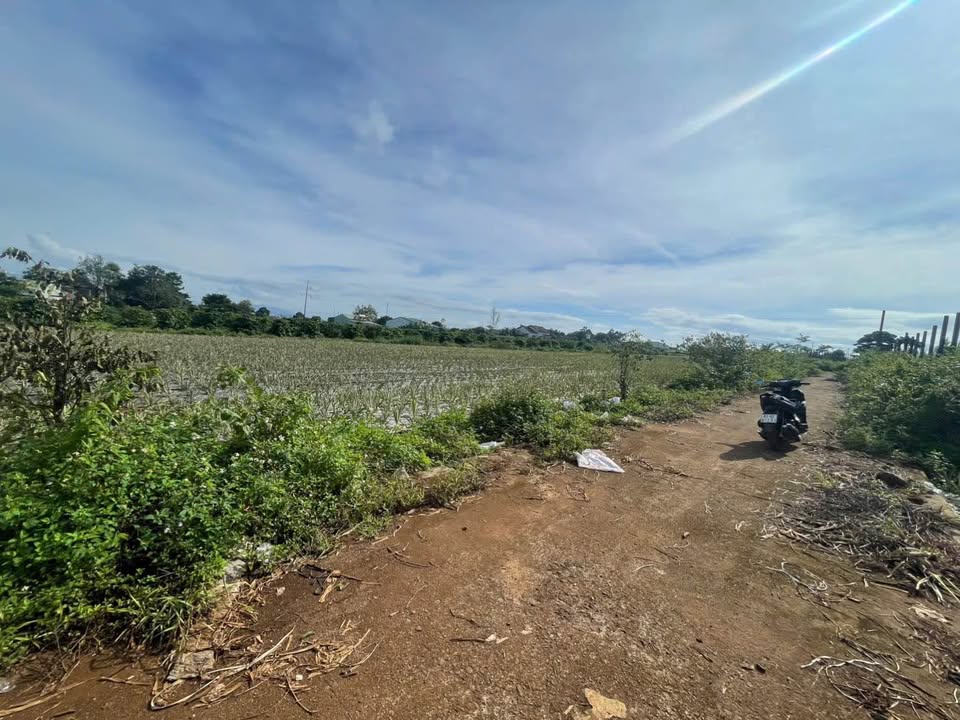 Đất nền 2 mặt tiền Trường Sa, 160m² giá 399 triệu - Cơ hội đầu tư hiếm có!