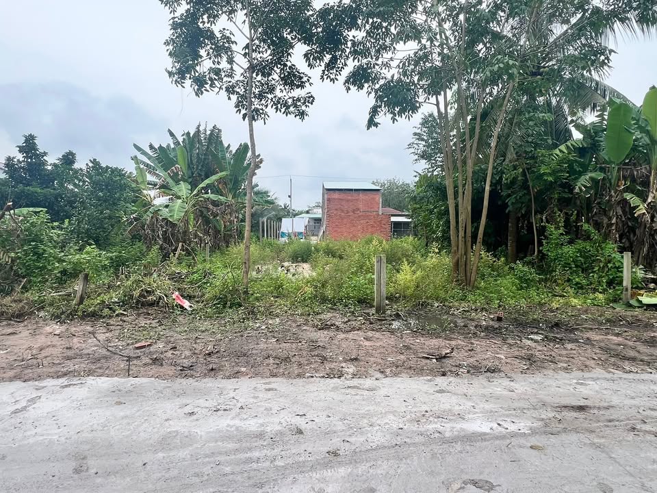 Đất thổ cư Phước Đông, Gò Dầu 110m² giá 470 triệu - Pháp lý rõ ràng, thuận tiện kinh doanh!