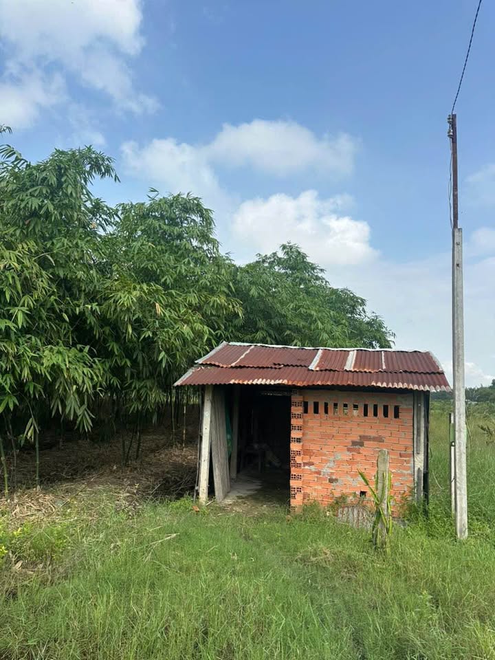 Đất Bình Lương Đồng Khởi 3000m² giá 840 triệu - Cơ hội đầu tư sinh lời!