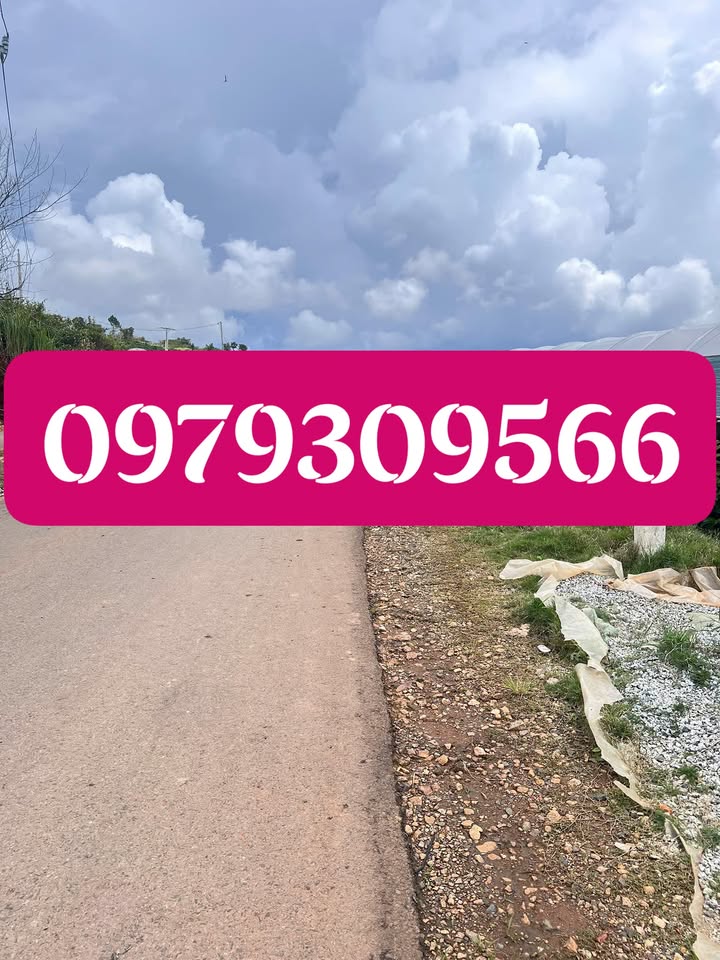 Đất nền Xuân Thọ Đà Lạt 628m² giá 3.7 tỷ - Cơ hội đầu tư tuyệt vời!