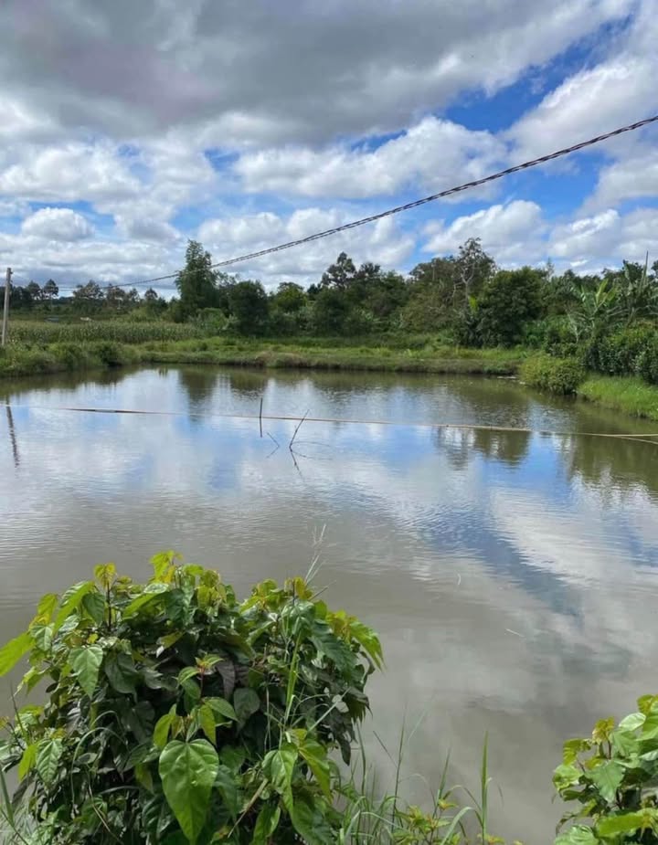 Đất nền Chi Lăng, Pleiku 14,400m² giá 3.8 tỷ - Tiềm năng kinh doanh lớn!