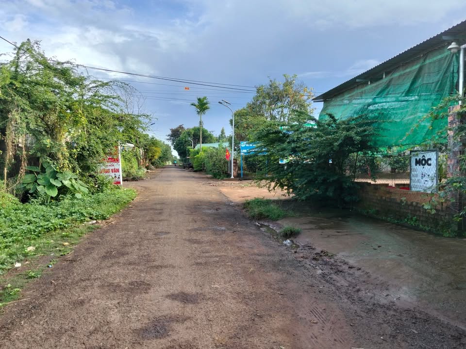 Bán đất mặt đường Nguyễn Bá Lại, Pleiku 768m² - Phù hợp cho kinh doanh và kho bãi!