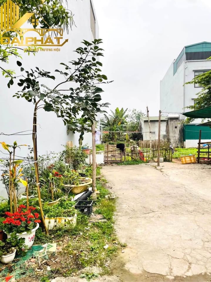 Đất nền mặt tiền Đại Lộ Hoà Bình, 92m² giá thỏa thuận - Tiềm năng đầu tư lớn!