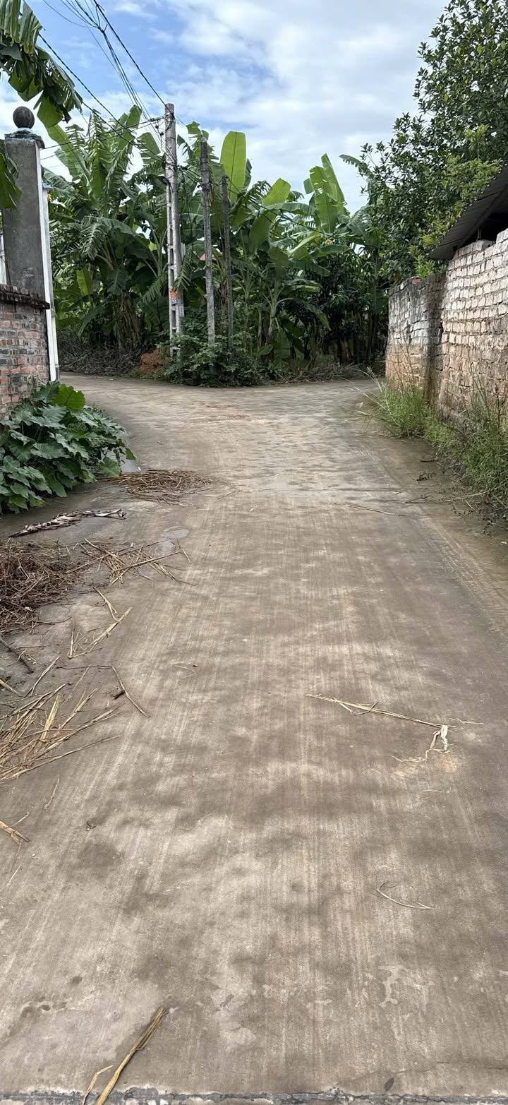 Đất thổ cư Lạng Giang 80m² giá chỉ 800 triệu - Mặt tiền 6m, ô tô tránh nhau!