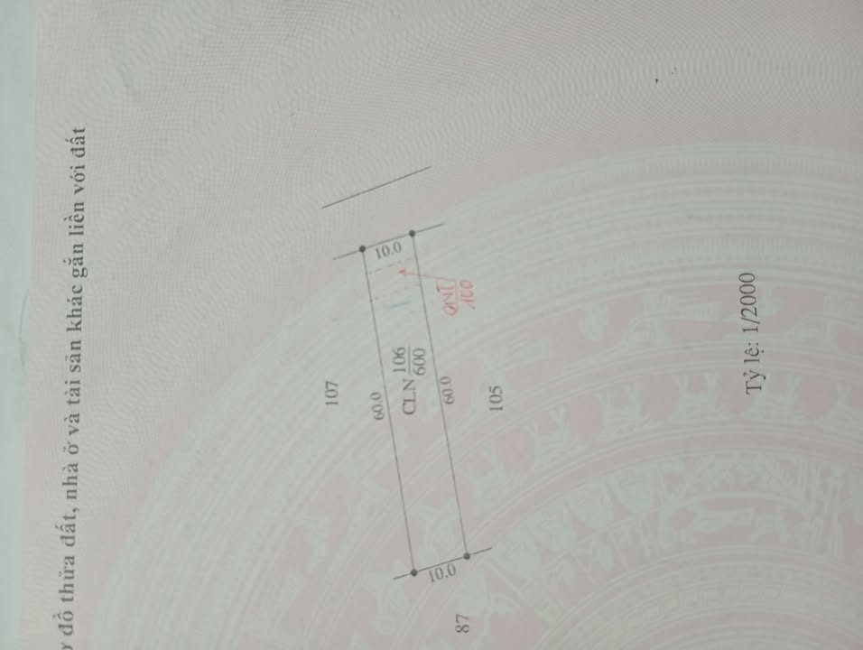 Đất nền liền kề xã Ea Pô, huyện Cư Jút, 600m² chỉ 330 triệu - Cơ hội đầu tư hấp dẫn!