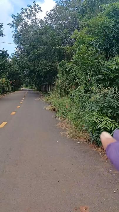 Đất nền Bàu Lâm, Xuyên Mộc 8600m² giá 5.8 tỷ - Pháp lý rõ ràng, sẵn sàng đầu tư!