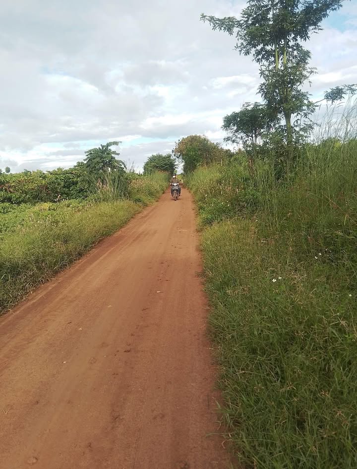 Đất thổ cư 4.7 sào Ea Kmút, Đắk Lắk - Giá thỏa thuận hấp dẫn!