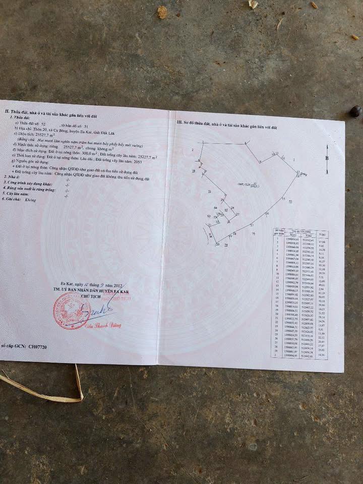 Đất Farm 2,6ha tại Cư Bông, Ea Kar - Đầu tư sinh lời với cây trồng hiệu quả